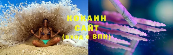 дживик Краснослободск