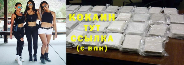 дживик Краснослободск