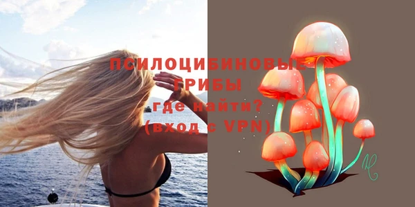 шишки Красноперекопск