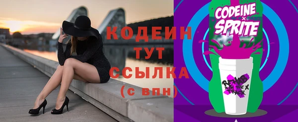 дживик Краснослободск