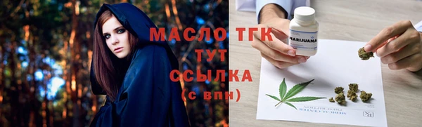 дживик Краснослободск