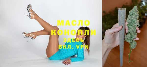 дживик Краснослободск