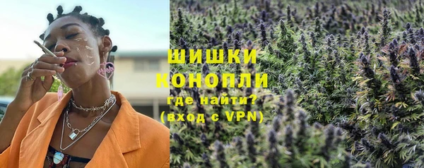дживик Краснослободск