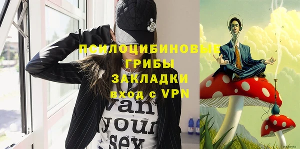 дживик Краснослободск