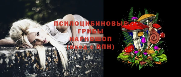 шишки Красноперекопск