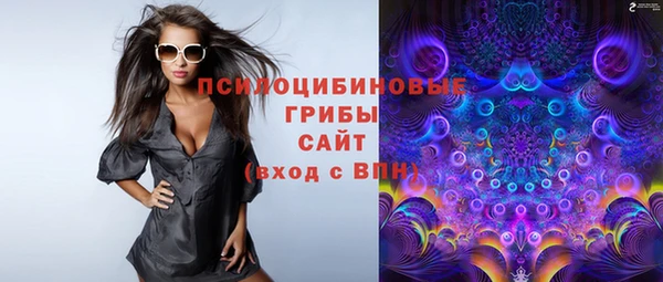 дживик Краснослободск