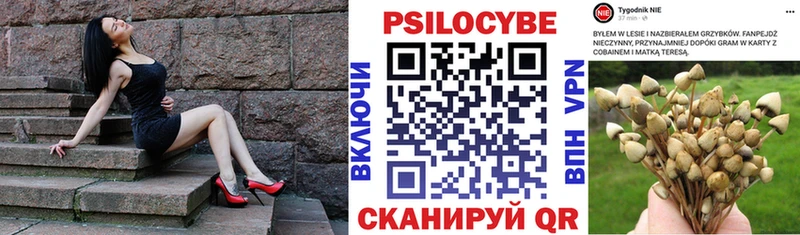 Купить  Боровичи  Псилоцибиновые грибы Cubensis 